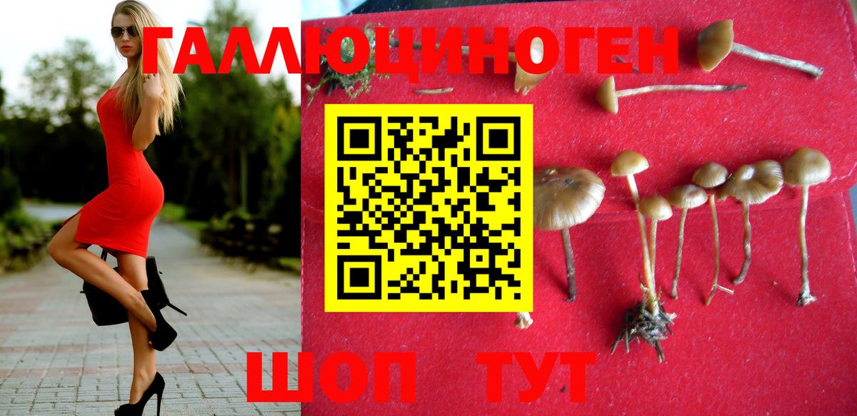 наркотики  Галлюциногенные грибы Psilocybine cubensis  Вход с VPN  Галлюциногенные грибы Psilocybine cubensis  Дзержинский 
