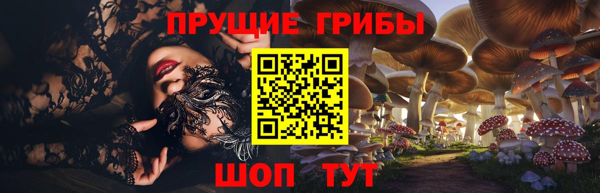 Галлюциногенные грибы Psilocybe Дзержинский